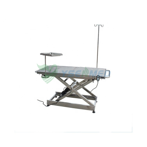 Animal anatomy table YSVET0516