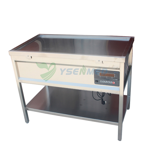 Stainless Steel Animal Diagnosis And Treatment Table YSVET2104