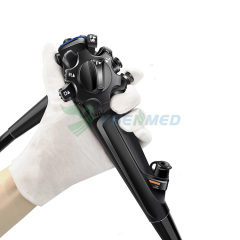 Endoscope Imaging Processors Light Source YSAQ-200