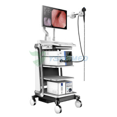 Endoscope Imaging Processors Light Source YSAQ-200