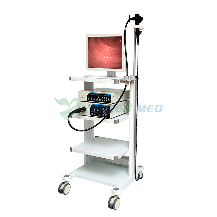 Demonstration video for YSENMED hot selling video endoscope tower YSVME-200