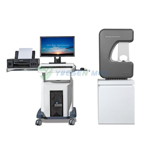 YSDXA-800E DXA Bone Densitometry Bone Density Scanning Dual-Energy X-ray Absorptiometry
