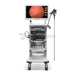 SonoScape HD-550 Système d'endoscope vidéo HD médical