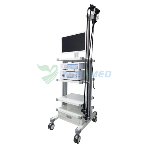YSENMED YSVME-300 video endoscope system with video Gastroscope video Colonoscope video bronchoscopy video Duodenoscope video Choledochoscope