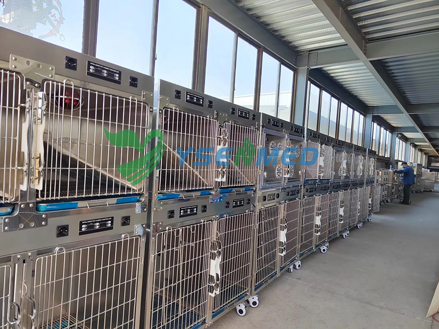 YSENMED high quality #304 stainless steel pet modular cages YSVET1220C for a vet clinc in Singapore.