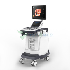 YSB-S7 Full Digital Color Doppler Ultrasound System With Low Price