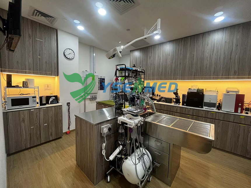 YSENMED veterinary equipment set up in a pet hospital in Singapore