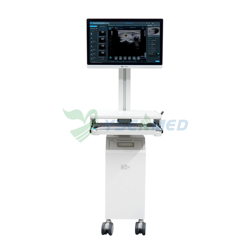 Scanner à ultrasons, Scanner Doppler Couleur vétérinaire Portable de 5,6  Pouces, Scanner à ultrasons B Portable pour Animaux de Poche avec sondes