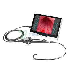 YSENMED HD video nephroscope video cystoscope flexible video cystonephroscope