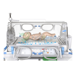 Transport Incubator compressed David TI-2100B