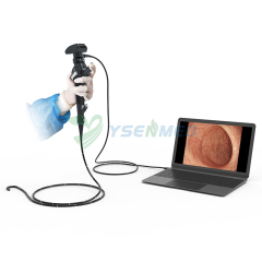 Veterinary endoscope YSVET-EU150H