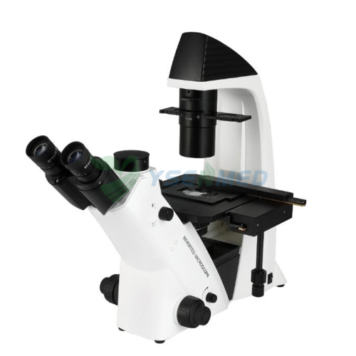 Inverted Binocular microscope YSXWJ-DZ400