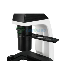 Inverted Binocular microscope YSXWJ-DZ400