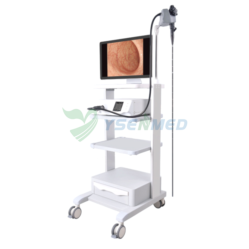 Here we share the operation video of YSENMED YSVET-GU160H Veterinary Video Endoscope System.