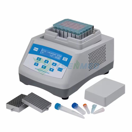 Dry Bath Incubator YSTE-DBI3