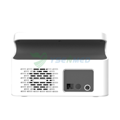 Veterinary Blood Gas Electrolyte Analyzer YSTE-BG100V