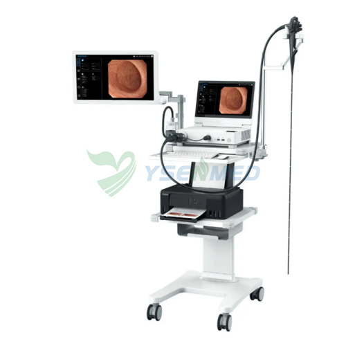 Video Gastroscope Digestive Endoscopy System YSNJ-HP1315
