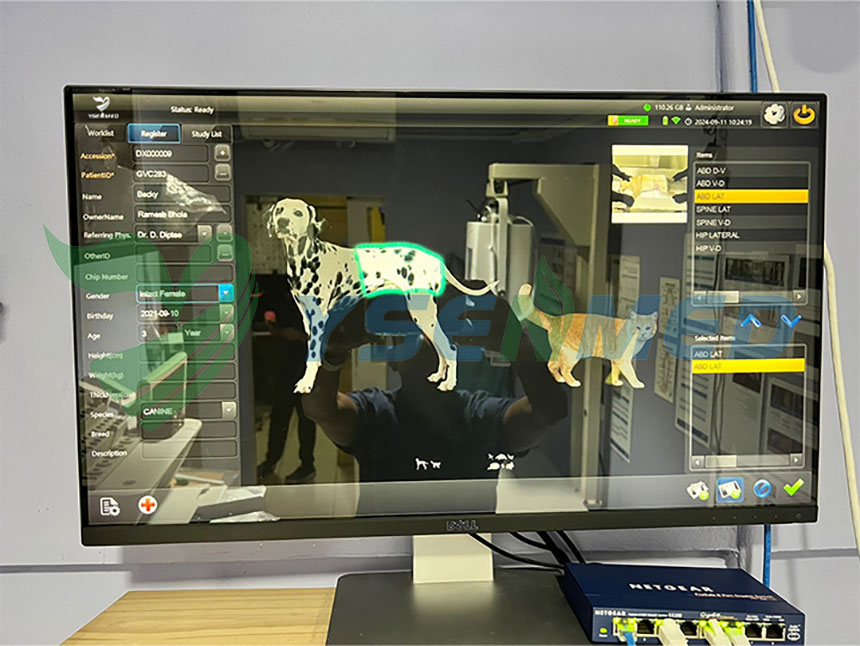 YSX056PE VET 5.6kW portable DR system working well in a vet clinic in