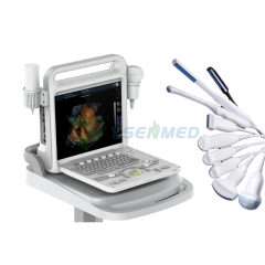 Color Doppler Ultrasound Diagnostic System YSB-DU20