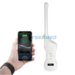 Double head Convex+Transvaginal Ultrasound YSB-C10QT
