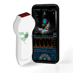 Dual-Probes Multipurpose Ultrasound Phased+Linear Probe YSB-C10XL