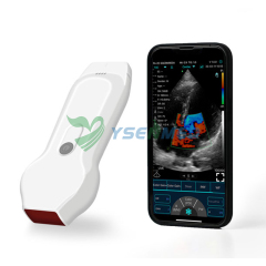 Dual-Probes Multipurpose Ultrasound Phased+Linear Probe YSB-C10XL