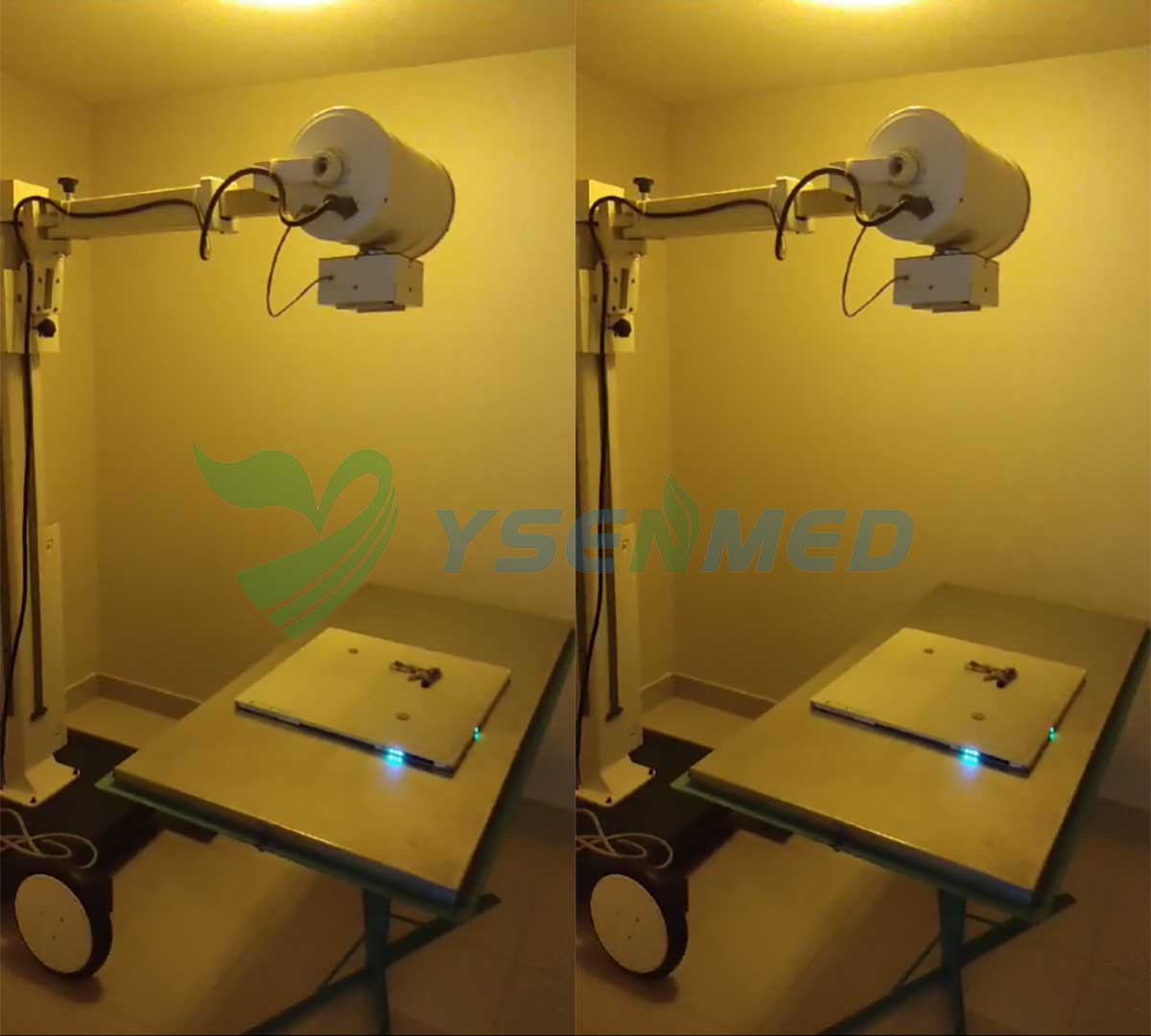 YSFPD-M1717V VET flat panel detector helps digitize the x-ray in a Peruvian vet clinic