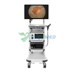 Electronic Endoscope SonoScape X-2600