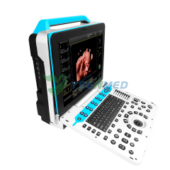 Portable Color Ultrasound System YSB-P30