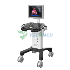 Medical Trolley B/W Ultrasound Machine YSB350