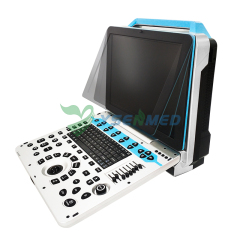 Portable Color Ultrasound System YSB-P30