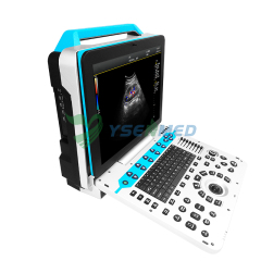 Portable Color Ultrasound System YSB-P30