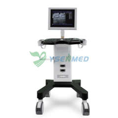 Medical Trolley B/W Ultrasound Machine YSB350