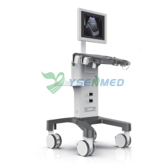 Medical Trolley B/W Ultrasound Machine YSB350