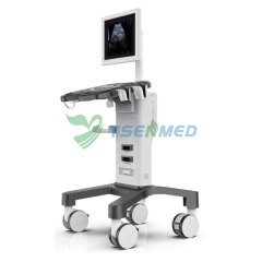 Medical Trolley B/W Ultrasound Machine YSB350