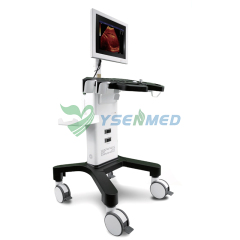 Medical Trolley B/W Ultrasound Machine YSB350