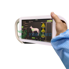 800W Veterinary Portable Handheld X-ray Unit YSX-P800W Vet