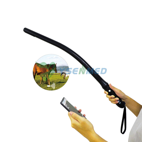 Wireless Veterinary Rectal Ultrasound Probe for Cow and Horse YSB-C10EQ