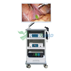 Système de caméra endoscopique à fluorescence 4K YSNJ-FE4