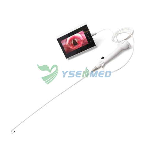 Bronchoscope jetable portable YSNJ-BR-F2