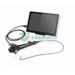 Flexible Video Bronchoscope YSNJ-BR1231