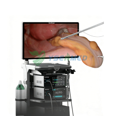 Système de caméra d'endoscopie par fluorescence UHD 3D 4K SonoScape SV-M4K220