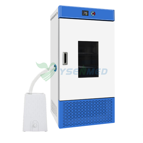Incubateur à température et humidité constantes pour laboratoire médical – 250 L (YSYF-HWS-250B)