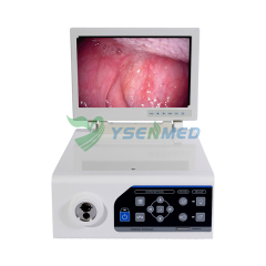 Combined Veterinary Video Endoscope System YSNJ-100VET-P