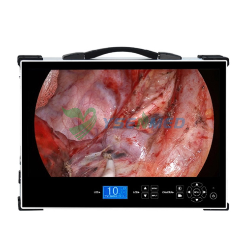 Portable FHD All-in-One Medical Endoscope YSNJ-HD380