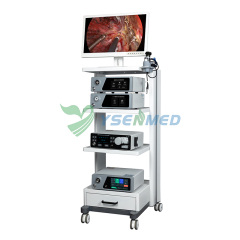 4K UHD Endoscope Camera System YSNJ-GEV610