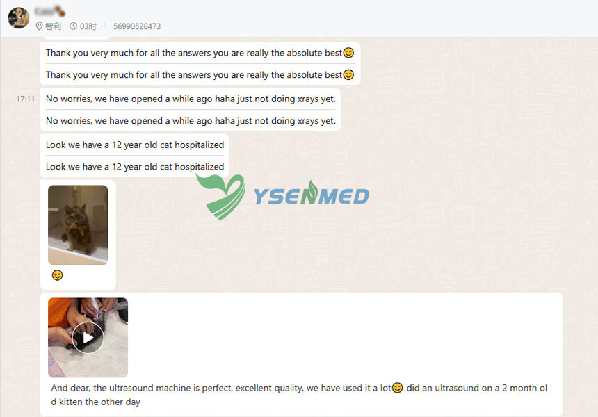Customer Success Story from Chile | YSB-M5 VET Ultrasound Supports a New Veterinary Clinic