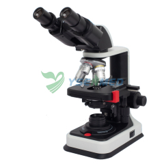 Medical Laboratory Binocular Biological Microscope YSXWJ-BX102B