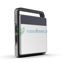 Medical 15'' Laptop BW Ultrasound Machine YSB-SS7C