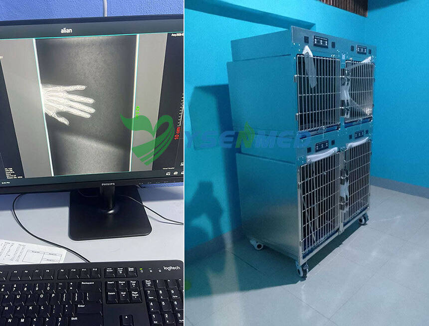 Customer Success Story from Costa Rica | YSDR-VET320 Digital X-Ray Machine Supports Veterinary Clinic